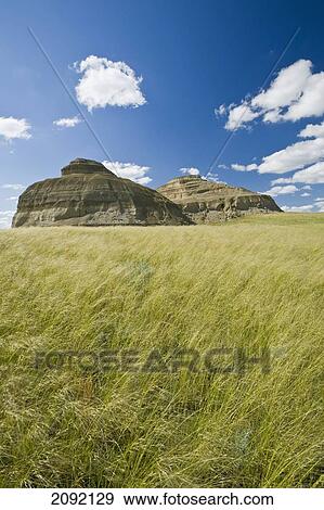 Killdeer Badlands In The East Block Of Grasslands National Park; Saskatchewan Canada View Large Photo Image Stock Photo - Killdeer Badlands In The East Block Of Grasslands National Park; Saskatchewan Canada. Fotosearch
