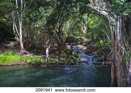 Stock Image - Kipu Falls Is A Secret Swimming Hole; Kauai Hawaii Usa. Fotosearch