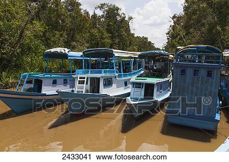 Stock Image - Klotok river boats on the Sekonyer River, Tanjung Puting National Park, Central Kalimantan, Borneo, Indonesia. Fotosearch