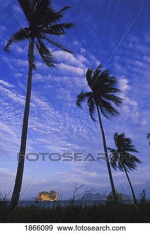 Koh Ngai, Trang Islands, Thailand View Large Photo Image Stock Photo - Koh Ngai, Trang Islands, Thailand. Fotosearch