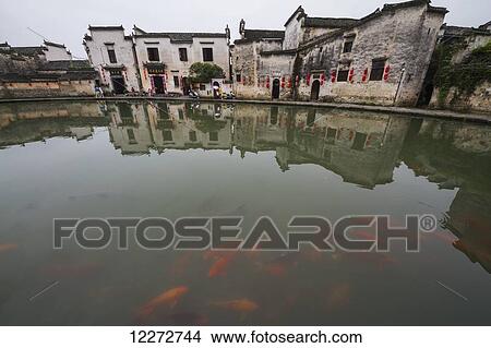 Picture - Koi in the Moon Pond, Hongcun, Anhui, China. Fotosearch