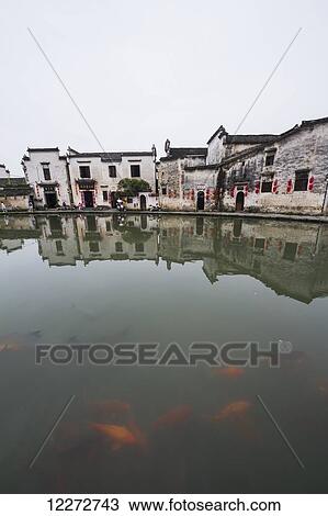 Stock Image - Koi in the Moon Pond, Hongcun, Anhui, China. Fotosearch
