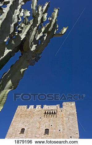 Stock Photograph - Kolossi Castle And Cactus, Close Up. Fotosearch