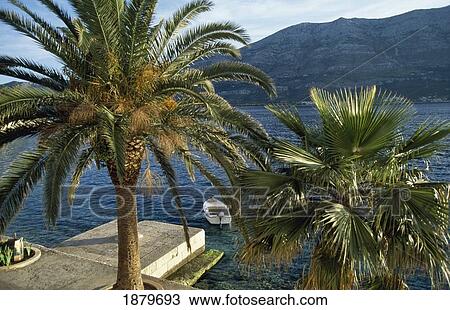 Korcula Town Island View Large Photo Image Stock Image - Korcula Town Island. Fotosearch