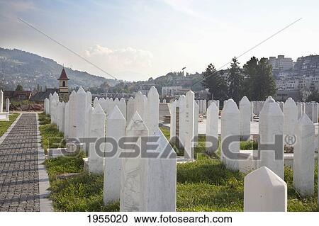 Kosevo cemetery was built during the war on the site of former football practice pitches of Sarajevo, Bosnia and Herzegovina View Large Photo Image Stock Image - Kosevo cemetery was built during the war on the site of former football practice pitches of Sarajevo, Bosnia and Herzegovina. Fotosearch
