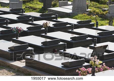 Kosevo cemetery was built during the war on the site of former football practice pitches of Sarajevo, Bosnia and Herzegovina View Large Photo Image Stock Photo - Kosevo cemetery was built during the war on the site of former football practice pitches of Sarajevo, Bosnia and Herzegovina. Fotosearch