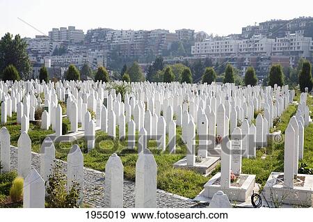 Kosevo cemetery was built during the war on the site of former football practice pitches of Sarajevo, Bosnia and Herzegovina View Large Photo Image Stock Photo - Kosevo cemetery was built during the war on the site of former football practice pitches of Sarajevo, Bosnia and Herzegovina. Fotosearch