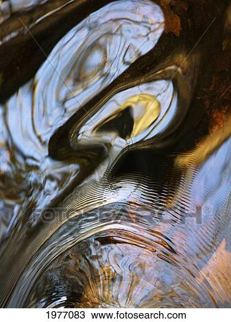 Stock Image - Koshkonong, Massachusetts, Seekonk, Caratunk Wildlife Refuge, Ripples And Reflections On Water Surface.. Fotosearch