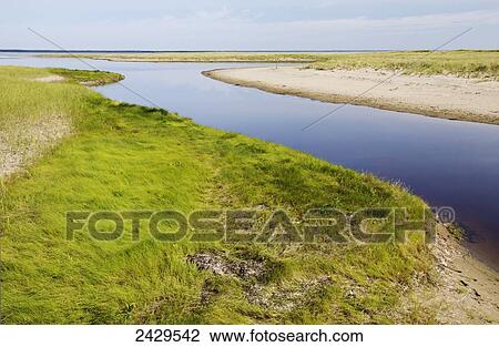 Kouchibouguac National Park; New Brunswick, Canada View Large Photo Image Stock Image - Kouchibouguac National Park; New Brunswick, Canada. Fotosearch