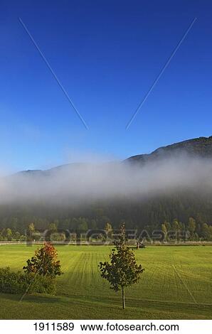 Stock Photo - Kranjska Gora And Fields, Slovenia. Fotosearch