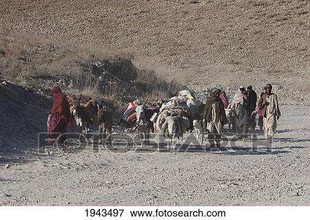 Kuchi Nomad Family And Their Donkeys On The Kabul To Sarobi Road, Kabul Province, Afghanistan View Large Photo Image Stock Photo - Kuchi Nomad Family And Their Donkeys On The Kabul To Sarobi Road, Kabul Province, Afghanistan. Fotosearch