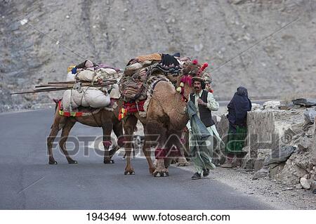 Kuchi Nomads And Their Camels At Tangi Abreshom (Silk Gorge), Kabul Province, Afghanistan View Large Photo Image Picture - Kuchi Nomads And Their Camels At Tangi Abreshom (Silk Gorge), Kabul Province, Afghanistan. Fotosearch