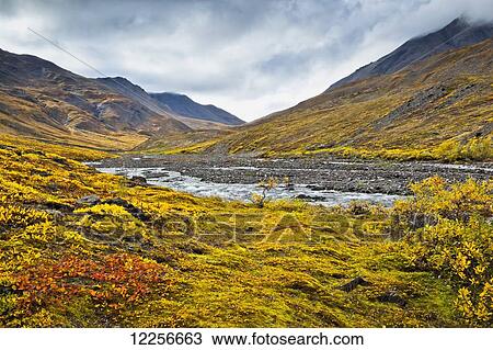 Stock Image - Kuyuktuvuk Creek Valley in fall colors, Gates of The Arctic National Park & Preserve, Arctic Alaska, Autumn. Fotosearch