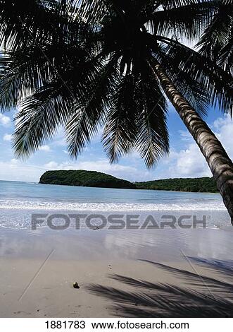 Stock Image - La Sagesse Nature Centre Coast. Fotosearch