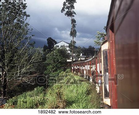 Stock Image - Labor Bungalows At Tea Factory. Fotosearch