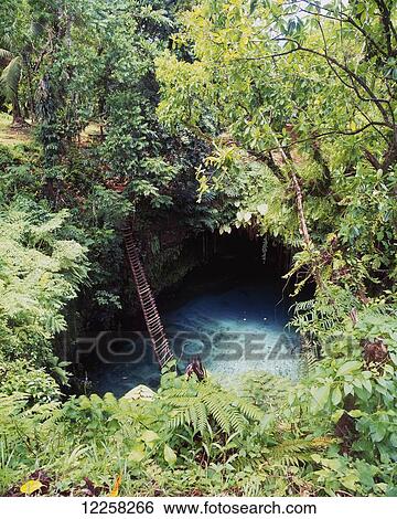 Stock Photograph - Ladder down to Sua waterhole; Upolu Island, Samoa. Fotosearch