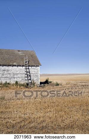 Stock Image - Ladder Leaning On An Old Storage Shed In A Field. Fotosearch