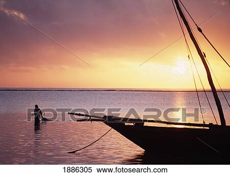 Lady Collecting Seaweed At Dawn Beside Dhow On Matemwe Beach View Large Photo Image Stock Photography - Lady Collecting Seaweed At Dawn Beside Dhow On Matemwe Beach. Fotosearch