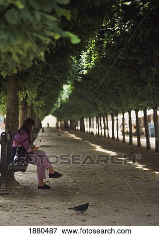 Stock Photo - Lady Reading Book In The Gardens Of The Palais Royale.. Fotosearch