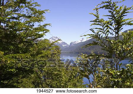 Lago Villarino, Nahuel Huapi National Park, Neuquen, Argentina View Large Photo Image Stock Photo - Lago Villarino, Nahuel Huapi National Park, Neuquen, Argentina. Fotosearch