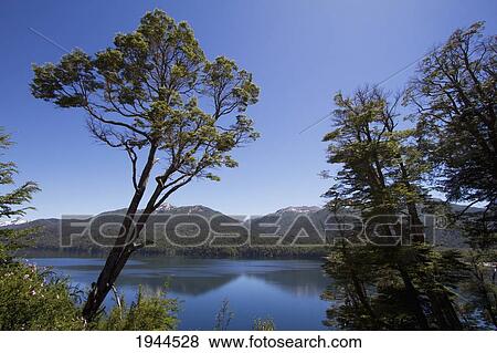 Stock Photo - Lago Villarino, Nahuel Huapi National Park, Neuquen, Argentina. Fotosearch