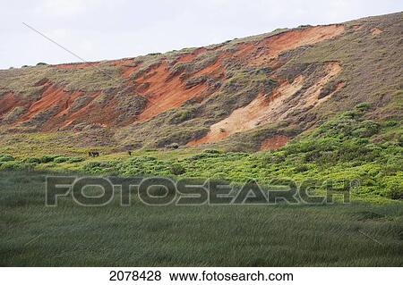 Stock Photo - Lagoon Inside The Caldera Of The Rano Raraku Volcano, Rapa Nui (Easter Island), Chile. Fotosearch