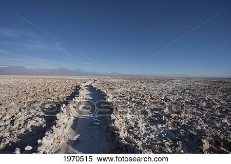 Stock Photography - Laguna Chaxa In Antofagasta Region, Chile. Fotosearch