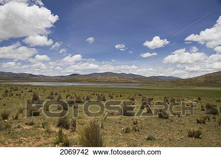 Stock Image - Laguna Grande, Sama National Park, Tarija, Bolivia. Fotosearch