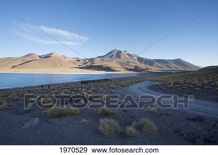 Stock Photo - Laguna Miscanti And Miniques, Antofagasta Region, Chile. Fotosearch
