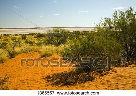 Stock Photo - Lake Amadeus From Sand Dune, Northern Territories, Australia. Fotosearch