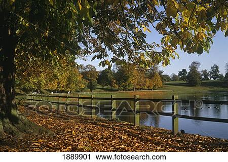 Stock Image - Lake And Autumnal Trees In Studley Park. Fotosearch
