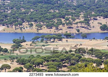 Stock Image - Lake bafa near milas; mugla province turkey. Fotosearch