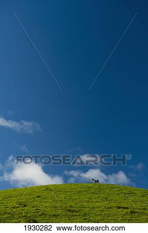 Stock Image - Lake District National Park, Cumbria, England. Fotosearch
