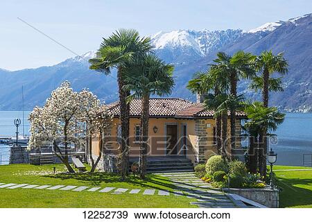 Lake Maggiore and the Swiss Alps; Ascona, Ticino, Switzerland View Large Photo Image Stock Photo - Lake Maggiore and the Swiss Alps; Ascona, Ticino, Switzerland. Fotosearch