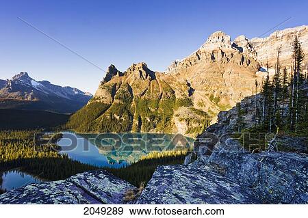Stock Photo - Lake O'hara And Mountains From Opabin Prospect, Yoho National Park, British Columbia. Fotosearch