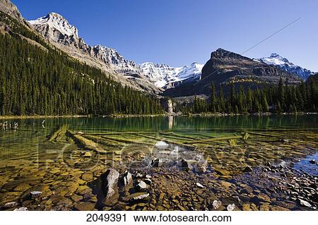 Stock Image - Lake O'hara And Mountains, Yoho National Park, British Columbia. Fotosearch