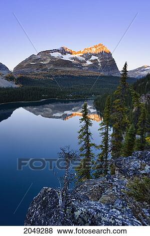 Stock Photo - Lake O'hara And Odaray Mountain At Sunrise, Yoho National Park, British Columbia. Fotosearch