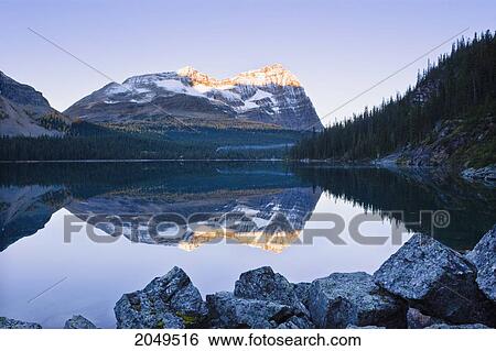 Lake O'hara And Odaray Mountain At Sunrise, Yoho National Park, British Columbia View Large Photo Image Stock Photograph - Lake O'hara And Odaray Mountain At Sunrise, Yoho National Park, British Columbia. Fotosearch