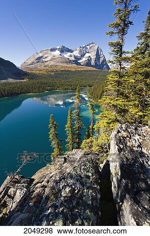 Stock Photo - Lake O'hara And Odaray Mountain, Yoho National Park, British Columbia. Fotosearch