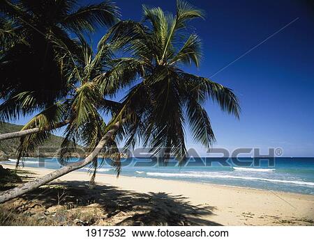 Stock Image - Lambert Bay. Fotosearch