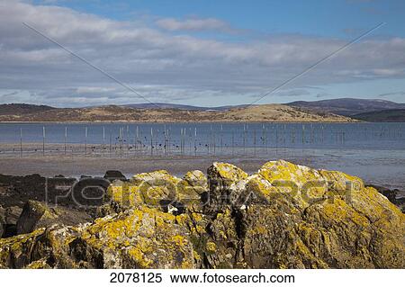 Landscape Along The Coast; Dumfries And Galloway Scotland View Large Photo Image Stock Photography - Landscape Along The Coast; Dumfries And Galloway Scotland. Fotosearch