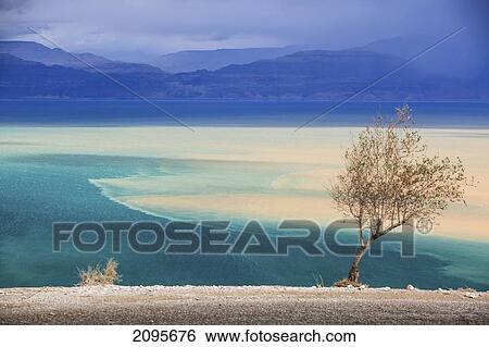 Stock Photograph - Landscape At The Dead Sea; Jordan Valley Israel. Fotosearch