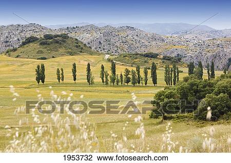 Stock Image - Landscape Near Montejaque; Malaga Province Andalusia Spain. Fotosearch