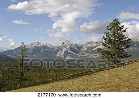 Stock Image - Landscape Of The Foothills And Rocky Mountains; Alberta Canada. Fotosearch