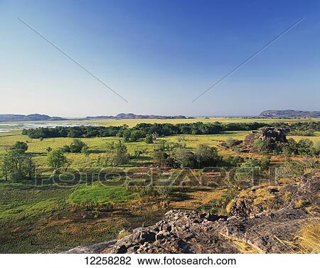 Stock Image - Landscape of trees and rock with mountains in the distance; Northern Territory, Australia. Fotosearch