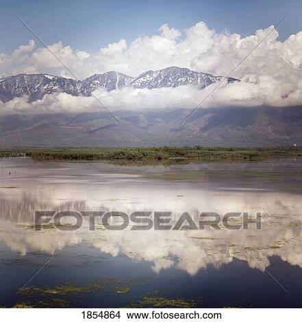 Picture - Landscape Reflected In Water. Fotosearch