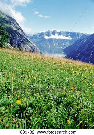Landscape View Large Photo Image Stock Image - Landscape. Fotosearch