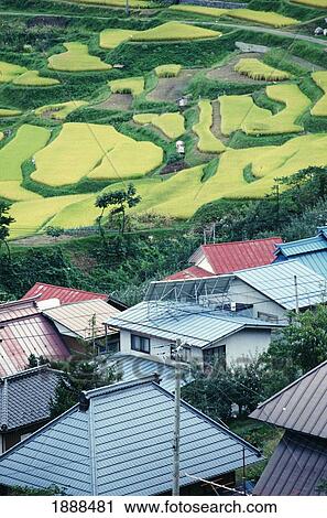 Landscape View Large Photo Image Stock Image - Landscape. Fotosearch