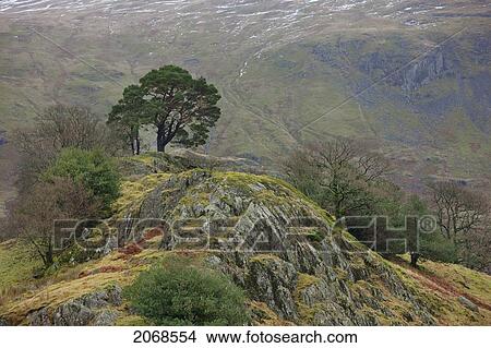 Landscape With Traces Of Snow On The Mountain; Cumbria England View Large Photo Image Picture - Landscape With Traces Of Snow On The Mountain; Cumbria England. Fotosearch