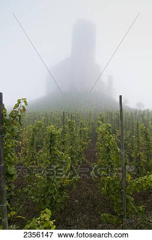 Landshut Castle in the fog and a vineyard in the foreground, Mosel valley; Bernkastel-Kues, Rhineland-Palatinate, Germany View Large Photo Image Stock Photo - Landshut Castle in the fog and a vineyard in the foreground, Mosel valley; Bernkastel-Kues, Rhineland-Palatinate, Germany. Fotosearch